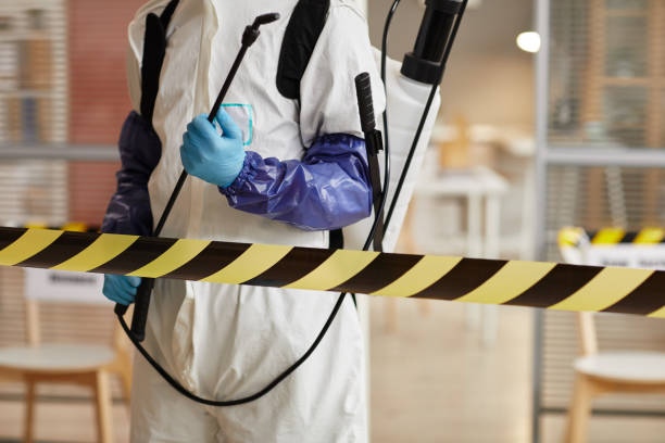 Professional Sewage Cleanup technician working in Fairfield, FL